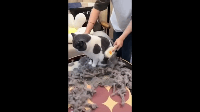 Brosse Vapeur Pelora™ pour Chats & Chiens